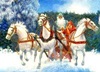 Три белых коня